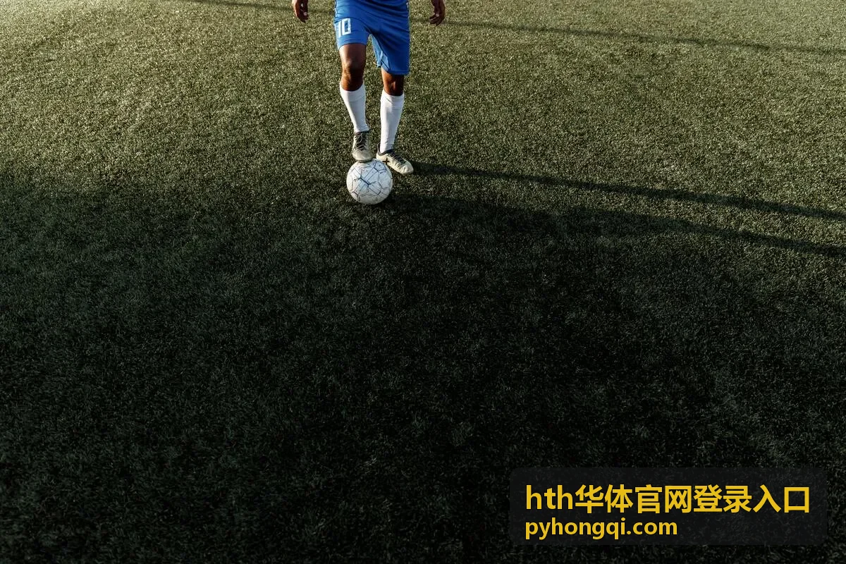 hth华体官网登录入口通道状态与节点拓扑示意图