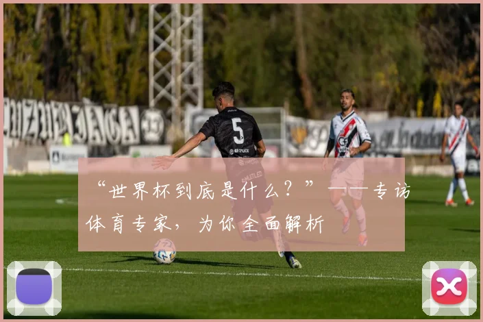 “世界杯到底是什么？”——专访体育专家，为你全面解析