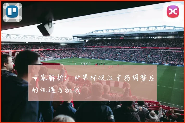 专家解析：世界杯投注市场调整后的机遇与挑战
