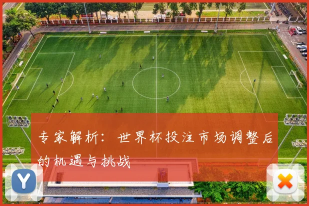 专家解析：世界杯投注市场调整后的机遇与挑战
